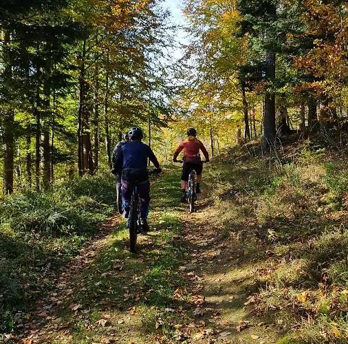 Koziolek Przy Szlaku, Szyndzielnia, Klimczok, Szczyrk, Bania * Bystra (Bielsko)