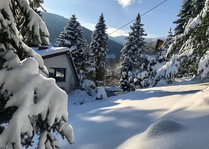 Koziolek Przy Szlaku, Szyndzielnia, Klimczok, Szczyrk, Bania Bystra (Bielsko)