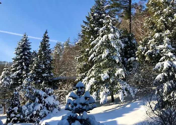 Koziolek Przy Szlaku, Szyndzielnia, Klimczok, Szczyrk, Bania * Bystra (Bielsko)